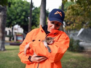 Belediye Personelinin Hayvan Sevgisi