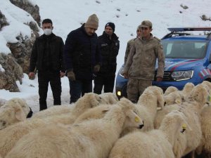 Kaymakam Türkoğlu, Karlı Yolları Açma Çalışmalarını Denetledi