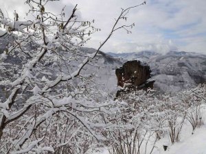 Fi̇skobi̇rli̇k’ten Fındık Üreticilerine Zirai Don Uyarısı