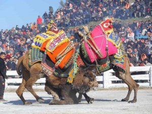 Selçuk’ta "40 Yılın Güreşi"