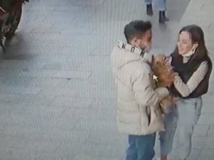 İ̇stanbul’da İlginç Köpek Hırsızlığı Kamerada: Sevgili Çift “Badem’i” Severek Çaldı