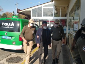 Sokak Köpeğini Öldürüp Serbest Kalan Doktor, Hastasına Tecavüz İddiasıyla Tutuklandı