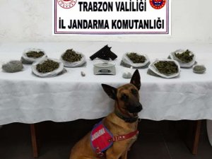 Jandarmadan İki Noktada Uyuşturucu Operasyonu: 2 Gözaltı