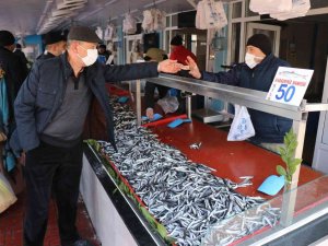 Bolu’da Hamsi Fiyatları 50 Liraya Kadar Çıktı