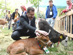 Balıkesir Büyükşehir Belediyesi’nden Üreticiye 15 Milyon Destek