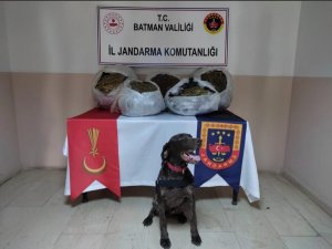 Jasat, Batman’da Bir Yılda 131 Olayı Aydınlattı