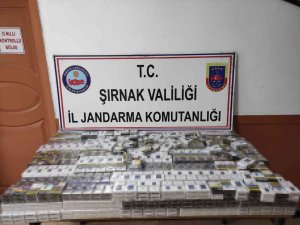 Şırnak’ta Kaçakçılık Operasyon: 81 Gözaltı