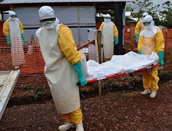 Ebola Yüzünden Toplamda 8 Bin 153 Kişi Hayatını Kaybetti