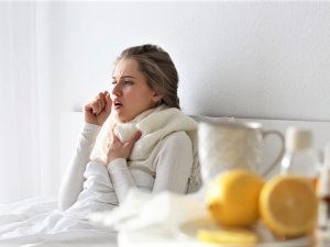 Domuz Gribi Kktc’de Yayılmaya Devam Ediyor