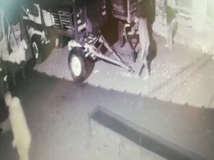 Sakar Hırsızlar Böyle Görüntülendi