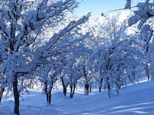 Meteorolojiden Batman Ve Çevre İleri İçin Kar Uyarısı Geldi
