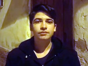 Köye İnen Aç Kurt Sürüsü Köpeği Parçaladı