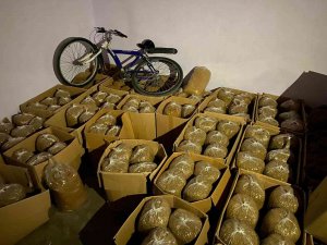 Adana’da 1.5 Ton Kaçak Tütün Ele Geçirildi