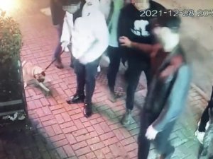 “Gorbi” İsimli Köpeği Çalan Hırsızları Beşiktaş Polisi Yakaladı: Köpek 4 Farklı Şahsa Satılmış