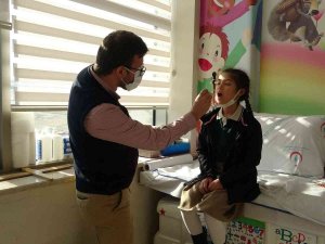 Domuz Gribi Tedavisinde İlk 72 Saate Dikkat