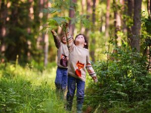 Tatilde Dünya’yı Kurtaralım
