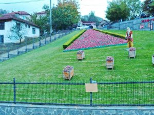 Elit Mekanların Gözde Çileği Bu Yıl 550 Ton Üretildi