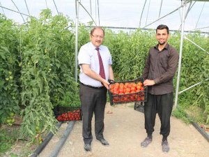 Uzman Eller Projesi Başladı