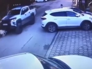 Vicdansız Sürücü Köpeği Göz Göre Göre Böyle Ezdi