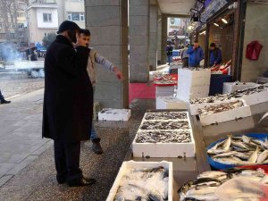 Beklenen Gürcü Hamsisi Sonunda Geldi