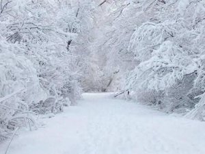 Domaniç’te Eğitim-öğretime Bir Gün Ara Verildi