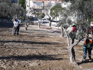 Yemyeşil Bir Kuşadası İçin Çalışmalar Sürüyor