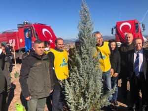 Türk-kore Dostluğu Fidanlarla Büyüyecek