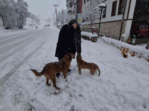 Onlar İtfaiyenin Neşe Kaynakları