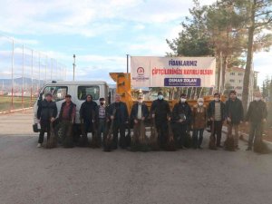 Denizli’de Sertifikalı Ceviz Fidanları Toprakla Buluşuyor