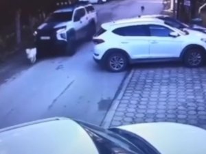 Göz Göre Göre Köpeği Ezmişti, O Sürücü Yakalandı