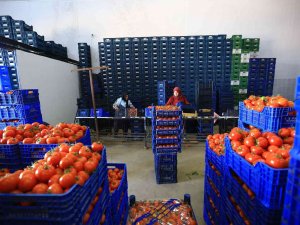 Büyükşehir, Toptancı Hal Esnafına ‘Kefil’ Oluyor