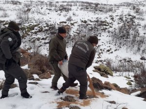 Elazığ’da Yaban Hayvanları İçin Doğaya Yem Bırakıldı