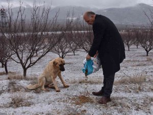 Doğanşehir’de Sokak Hayvanlarını Unutmadı