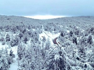 Mersin’in Gülnar İlçesinde Eğitime Ara Verildi