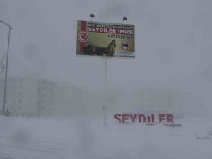 Öz Çekim Yaparken Sokak Köpeklerinin Saldırısına Uğrayan Çocuk Ölümden Döndü