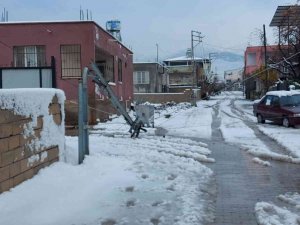 Hatay’da Elektrik Direkleri Ve Ağaçlar Devrildi