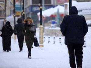 Gümüşhane’de Yoğun Kar Yağışı Etkili Oldu