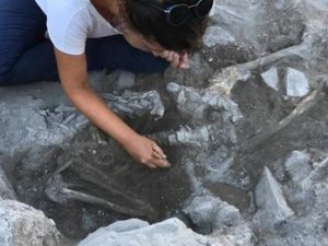 4 Bin Yaşında İnsan Ve Köpek İskeleti Bulundu, Makalesi Ses Getirdi