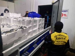 Ordu’da 2,5 Ton Balığa El Konuldu