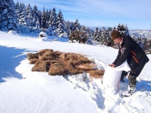 Doğa Koruma Ve Milli Parklar Müdürlüğü, Yaban Hayvanlarını Unutmadı