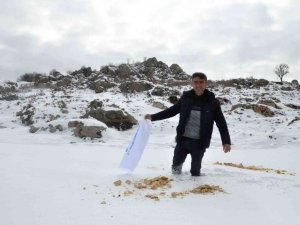 Gazeteciler Cemiyeti Yaban Hayvanlarını Unutmadı, Doğaya Yem Bıraktı