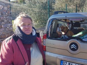 Hayvansever Alman Kadının İçinde Köpeği Bulunan Aracını Sopalar Ve Taşlarla Parçaladılar