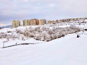 Şırnak’ta Eğitime 1 Gün Ara Verildi