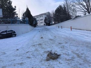 Bu Yolda Vatandaşlar Yürümekte, Araçlar İlerlemekte Güçlük Çekiyor