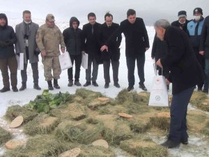 Pütürge’de Yaban Hayvanları Unutulmadı