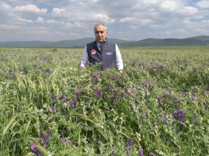 Tarımsal Desteklemelerde Rekor