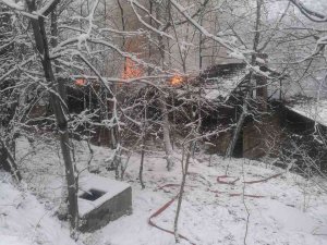 Artvin’de Korkutan Yangın