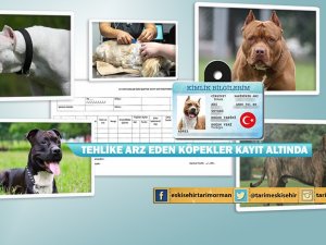 Eskişehir’de 355 Tehlikeli Irk Kayıt Altına Alındı