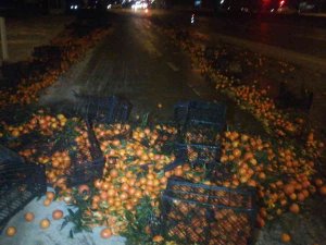 Afyonkarahisar’da Tırın Dorsesi Savruldu, Mandalinalar Yolu Saçıldı