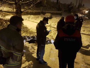 Yaşlı Adam Ağacın Altında Ölü Bulundu